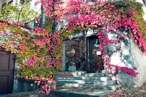 瑞士与丹麦在欧洲杯预选赛中争夺胜利