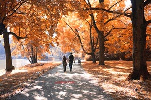 热血激战！亚洲足坛巨星决斗